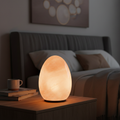 Himalaya Salzlampe eierförmig glatt im Schlafzimmer